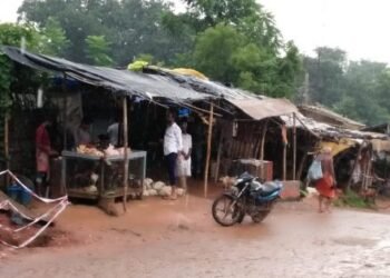 चाकुलिया : वार्ड नंबर 10 में सड़क किनारे मुर्गा-मांस की दुकान बनी लोगों के लिए परेशानी का सबब