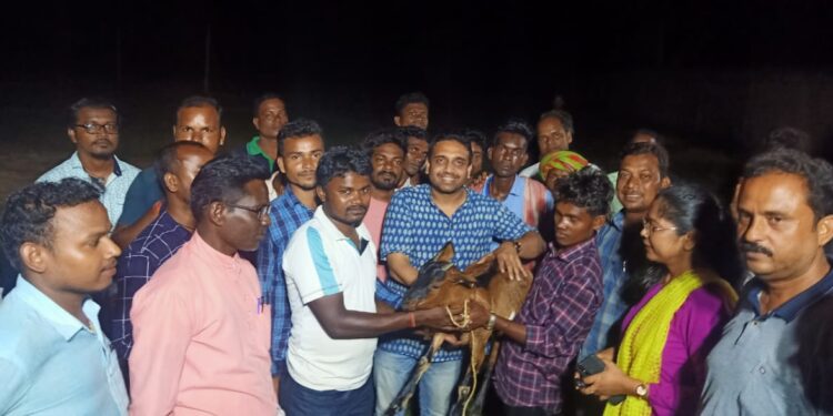 गुड़ाबांदा के बागजाता में बीडीओ ने किया कंबल वितरण गुड़ाबांदा के बागजाता में बीडीओ ने किया कंबल वितरण