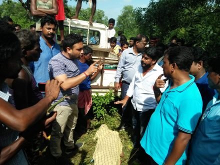 चाकुलिया में हाथियों ने एक ग्रामीण को पटककर मार डाला, मुआवजा हाथी पर लगाम लगाने की मांग पर विधायक समेत कई राजनीतिक दलों ने शव को रोका चाकुलिया में हाथियों ने एक ग्रामीण को पटककर मार डाला, मुआवजा हाथी पर लगाम लगाने की मांग पर विधायक समेत कई राजनीतिक दलों ने शव को रोका