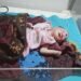 एमजीएम अस्पताल : बरामद बच्ची चोरी गयी या दूसरा स्पष्ट नहीं, ऊहापोह में पुलिस, होगी डॉक्टरी जांच, मां ने कहा-यह बच्ची मेरी ही है या नहीं, यह नहीं बता सकते, थानेदार भी अस्पष्ट एमजीएम अस्पताल : बरामद बच्ची चोरी गयी या दूसरा स्पष्ट नहीं, ऊहापोह में पुलिस, होगी डॉक्टरी जांच, मां ने कहा-यह बच्ची मेरी ही है या नहीं, यह नहीं बता सकते, थानेदार भी अस्पष्ट