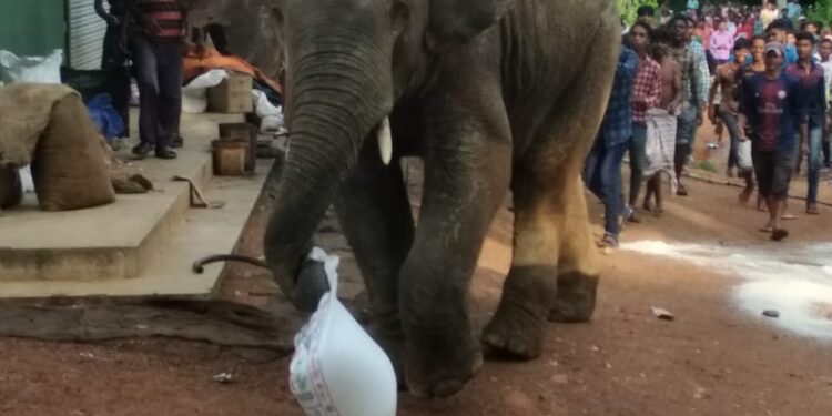 एक ऐसा गांव है जहां ग्रामीण पेड़ पर मोबाइल टांगकर करते है रिंग बजने का इंतजार एक ऐसा गांव है जहां ग्रामीण पेड़ पर मोबाइल टांगकर करते है रिंग बजने का इंतजार