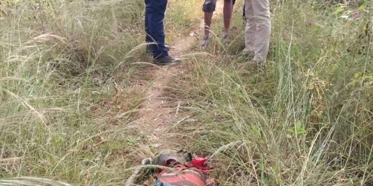 चाकुलिया सीएचसी में 130 गर्भवती माता की हुई जांच चाकुलिया सीएचसी में 130 गर्भवती माता की हुई जांच