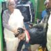 चाकुलिया-जोड़ाम मुख्य सड़क पर आंधी से गिरा बिजली का खंभा