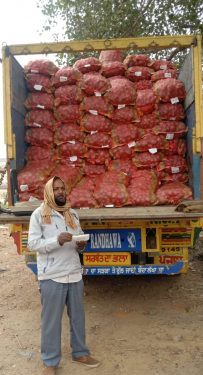 onion-price-controlled-प्याज के मूल्य में राहत, 65 रुपये किलो