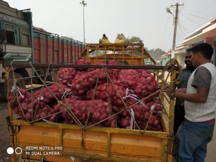onion-crisis-report-अफगानिस्तान से आया प्याज, होगी थोड़ी राहत, खुदरा में हुई 85 रुपये किलो onion-crisis-report-अफगानिस्तान से आया प्याज, होगी थोड़ी राहत, खुदरा में हुई 85 रुपये किलो