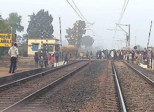 चाकुलिया : रेलवे ट्रैक के पास दिखा हाथी, ट्रेनों की रफ्तार धीमी चाकुलिया : रेलवे ट्रैक के पास दिखा हाथी, ट्रेनों की रफ्तार धीमी