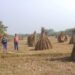 चाकुलिया : मकर पर्व को लेकर गांव में तैयारी जोरों पर