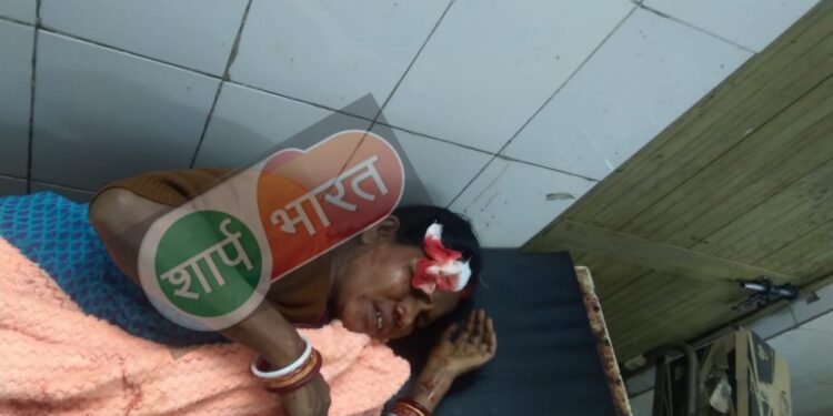 Jamshedpur-breaking-नया कोर्ट के पास पुरानी रंजिश को लेकर महिला ने सहकर्मी को हथौड़े से मारकर किया घायल, स्थानीय लोगों से के बीच बचाव पर बची जान, गंभीर स्थिति में एमजीएम में भर्ती Jamshedpur-breaking-नया कोर्ट के पास पुरानी रंजिश को लेकर महिला ने सहकर्मी को हथौड़े से मारकर किया घायल, स्थानीय लोगों से के बीच बचाव पर बची जान, गंभीर स्थिति में एमजीएम में भर्ती