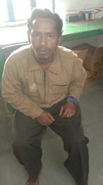 चाकुलिया में पागल कुत्ते का आतंक, सात लोगों को काटा, दहशत