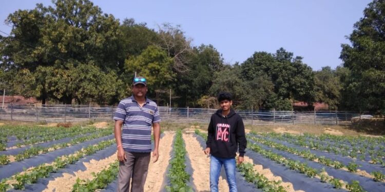 घाटशिला : समेकित कृषि प्रणाली से की जा रही खेती कार्य का निरीक्षण