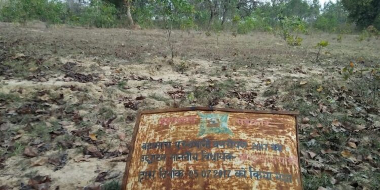 चाकुलिया : बड़ामारा-पुरनापानी में वन रोपण विभाग द्वारा लगाये गये पौधे देखभाल के अभाव में हो रहे हैं नष्ट, कई पौधे सूख गये चाकुलिया : बड़ामारा-पुरनापानी में वन रोपण विभाग द्वारा लगाये गये पौधे देखभाल के अभाव में हो रहे हैं नष्ट, कई पौधे सूख गये