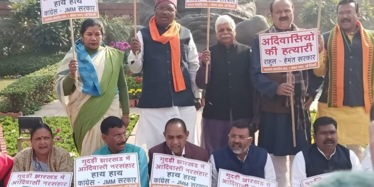 jamshedpur-elephant-issue-संसद में गूंजा हाथी के हमले का मामला, जमशेदपुर के सांसद ने शून्यकाल में अपनी ही सरकार से मांगा दस लाख का मुआवजा