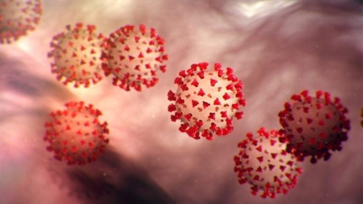 jharkhand-corona-virus-effect-झारखंड में कोराना वायरस को लेकर सरकार गंभीर, सभी शिक्षण संस्थान के अलावा मॉल, सिनेमाघर समेत कई सार्वजनिक स्थलों को बंद करने की अनुसंशा jharkhand-corona-virus-effect-झारखंड में कोराना वायरस को लेकर सरकार गंभीर, सभी शिक्षण संस्थान के अलावा मॉल, सिनेमाघर समेत कई सार्वजनिक स्थलों को बंद करने की अनुसंशा