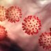 jharkhand-corona-virus-effect-झारखंड में कोराना वायरस को लेकर सरकार गंभीर, सभी शिक्षण संस्थान के अलावा मॉल, सिनेमाघर समेत कई सार्वजनिक स्थलों को बंद करने की अनुसंशा jharkhand-corona-virus-effect-झारखंड में कोराना वायरस को लेकर सरकार गंभीर, सभी शिक्षण संस्थान के अलावा मॉल, सिनेमाघर समेत कई सार्वजनिक स्थलों को बंद करने की अनुसंशा