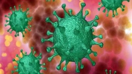 jharkhand-corona-virus-update-झारखंड में दो दवाओँ के कोरोना वायरस के मरीजों को देने को मंजूरी, लेकिन बच्चों के लिए ठीक नही है यह दवा, जाने क्या है यह दवा jharkhand-corona-virus-update-झारखंड में दो दवाओँ के कोरोना वायरस के मरीजों को देने को मंजूरी, लेकिन बच्चों के लिए ठीक नही है यह दवा, जाने क्या है यह दवा
