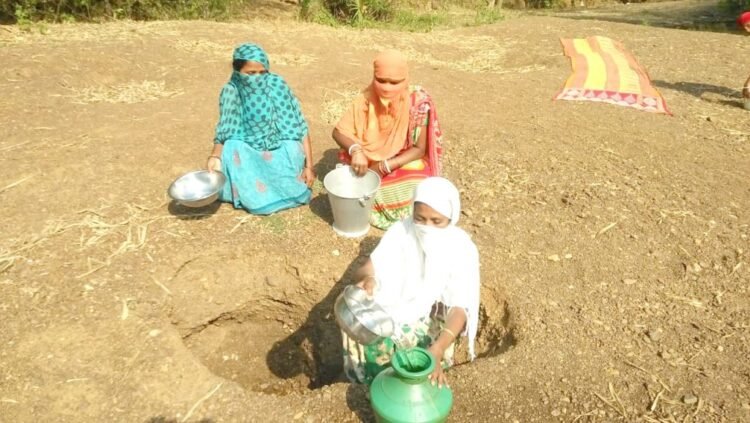 कोरोना का असर : सरडीहा में 100 एकड़ में है करैला की खेती, नहीं आ रहे व्यापारी, किसानों को भारी नुकसान कोरोना का असर : सरडीहा में 100 एकड़ में है करैला की खेती, नहीं आ रहे व्यापारी, किसानों को भारी नुकसान