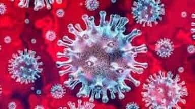 jharkhand-corona-virus-update-झारखंड में मिले चार और कोरोना वायरस पोजिटिव केस, संख्या 53 तक पहुंची, प्रारंभिक रिपोर्ट में चार सामने आया, फाइनल रिपोर्ट का इंतजार, संख्या बढ़ने की उम्मीद jharkhand-corona-virus-update-झारखंड में मिले चार और कोरोना वायरस पोजिटिव केस, संख्या 53 तक पहुंची, प्रारंभिक रिपोर्ट में चार सामने आया, फाइनल रिपोर्ट का इंतजार, संख्या बढ़ने की उम्मीद