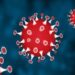 jharkhand-new-corona-virus-positive-झारखंड में कोरोना वायरस के तीन और पॉजिटिव मिले, पॉजिटिव की संख्या 17 पहुंची, लॉकडाउन बढ़ाने पर हो सकता है फैसला