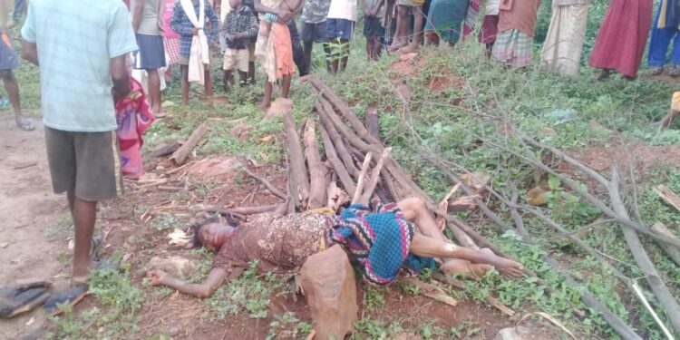 Elephant Attack : मंझारी में हाथी ने महिला को कुचला, मौके पर हुई मौत