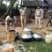जगन्नाथपुर के माशाबिला भारी मात्रा में जावा महुआ बरामद, दो भट्ठी ध्वस्त