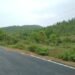 jamshedpur-rural-sendra-लॉकडाउन के बीच जमशेदपुर के ग्रामीण इलाके गोटाशिला पहाड़ पर सेंदरावीरों ने किया हिरण और मोर का शिकार, वन विभाग को नहीं है भनक, आज भी पहाड़ पर चढ़े है सेंदरावीर jamshedpur-rural-sendra-लॉकडाउन के बीच जमशेदपुर के ग्रामीण इलाके गोटाशिला पहाड़ पर सेंदरावीरों ने किया हिरण और मोर का शिकार, वन विभाग को नहीं है भनक, आज भी पहाड़ पर चढ़े है सेंदरावीर