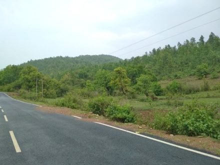 jamshedpur-rural-sendra-लॉकडाउन के बीच जमशेदपुर के ग्रामीण इलाके गोटाशिला पहाड़ पर सेंदरावीरों ने किया हिरण और मोर का शिकार, वन विभाग को नहीं है भनक, आज भी पहाड़ पर चढ़े है सेंदरावीर jamshedpur-rural-sendra-लॉकडाउन के बीच जमशेदपुर के ग्रामीण इलाके गोटाशिला पहाड़ पर सेंदरावीरों ने किया हिरण और मोर का शिकार, वन विभाग को नहीं है भनक, आज भी पहाड़ पर चढ़े है सेंदरावीर