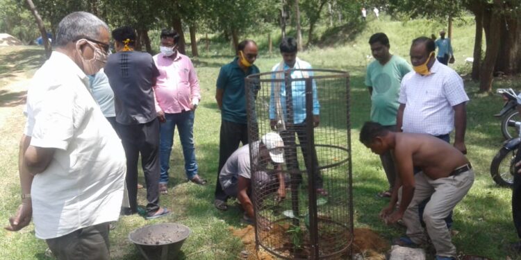 चक्रधरपुर : आसनतलिया के जाहिरा स्थल में विश्व पर्यावरण दिवस पर किया गया वृक्षारोपण चक्रधरपुर : आसनतलिया के जाहिरा स्थल में विश्व पर्यावरण दिवस पर किया गया वृक्षारोपण