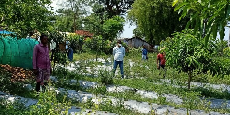 चक्रधरपुर : बिरसा हरित ग्राम योजना को ले दिया गया प्रशिक्षण