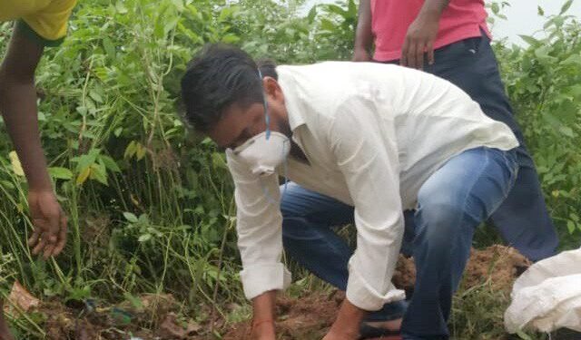 चाकुलिया : विधायक समीर महंती ने विश्व पर्यावरण दिवस पर 5 पौधा लगाकर लोगों को जागरूक किया चाकुलिया : विधायक समीर महंती ने विश्व पर्यावरण दिवस पर 5 पौधा लगाकर लोगों को जागरूक किया
