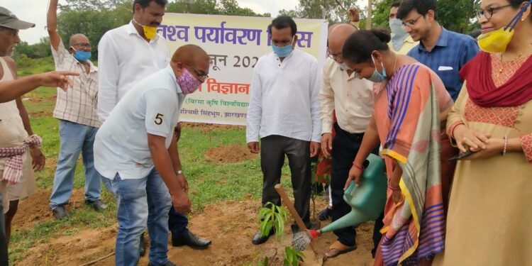 विश्व पर्यावरण दिवस तभी सार्थक होगा जब हम सभी मलकर संकलप लें पर्यावरण को संगरक्षित और सुरक्षित रखने का : सांसद