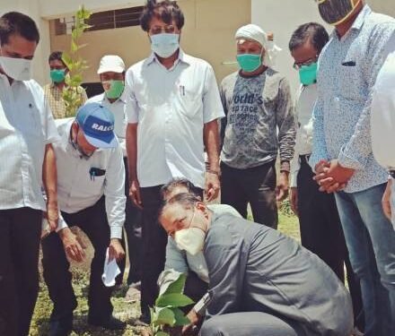 jamshedpur-environment-day-न्यू ग्रीन सिटी में लगाया गया पौधा, चांडिल के आइटीआइ में पौधारोपण, सोनारी में भाजपा व झामुमो ने लगाया पेड़, कोल्हान विश्वविद्यालय में मना पर्यावरण दिवस jamshedpur-environment-day-न्यू ग्रीन सिटी में लगाया गया पौधा, चांडिल के आइटीआइ में पौधारोपण, सोनारी में भाजपा व झामुमो ने लगाया पेड़, कोल्हान विश्वविद्यालय में मना पर्यावरण दिवस