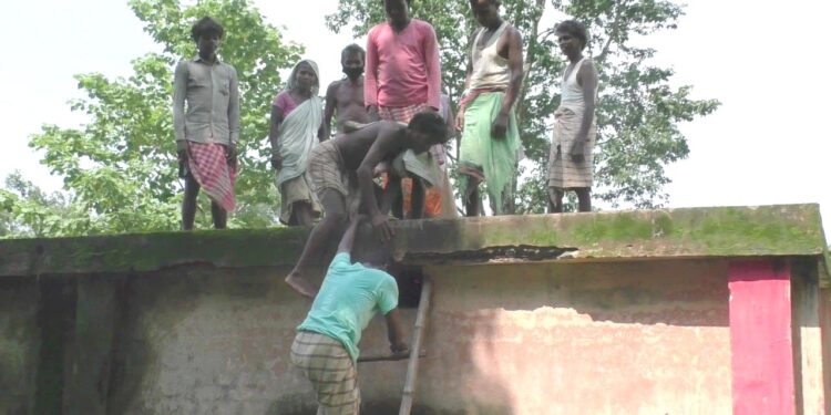 गुड़ाबांदा के पावड़ाडीह में हाथियों के भय से रात भर स्कूल की छत पर शरण लेते हैं ग्रामीण, हाथियों ने छह घरों को तोड़ा, वन विभाग बेखबर