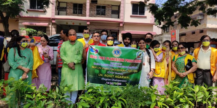 रीजन वन लायंस क्लब ने बाराद्वारी में किया वृक्षारोपण, केक काट कर मनाया सीए डे व डॉक्टर्स डे