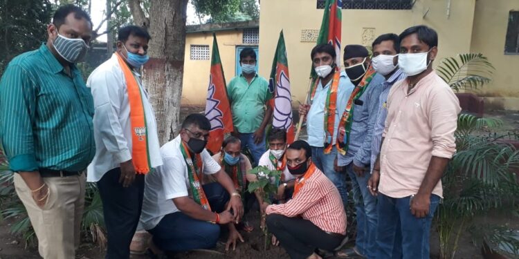 जुगसलाई मंडल भाजपा ने महाकालेश्वर मंदिर व डॉ गोस्वामी ने अपने आवासीय परिसर में किया वृक्षारोपण जुगसलाई मंडल भाजपा ने महाकालेश्वर मंदिर व डॉ गोस्वामी ने अपने आवासीय परिसर में किया वृक्षारोपण