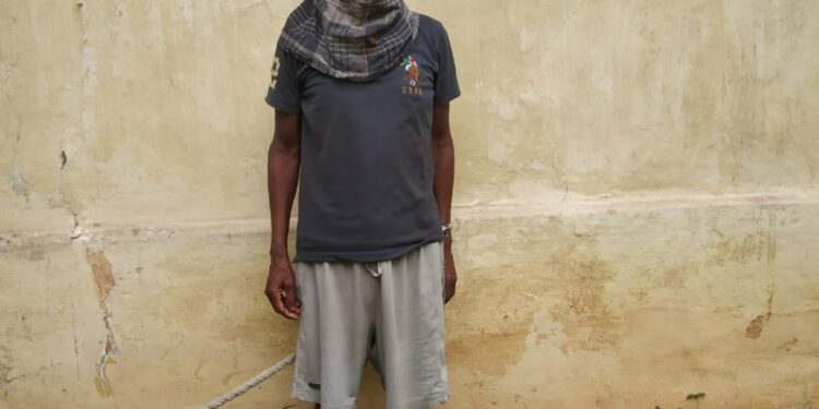 पश्चिमी सिंहभूम में दो नक्सली गिरफ्तार, भेजे गये जेल पश्चिमी सिंहभूम में दो नक्सली गिरफ्तार, भेजे गये जेल
