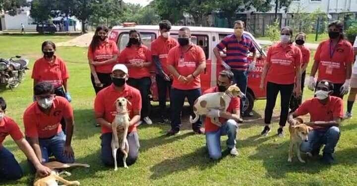 जमशेदपुर : शहर की संस्था रेड पब्स रेस्क्यू फाउंडेशन की अनोखी पहल, चौक-चौराहों पर घूम रहे आवासा कुत्तों को लगाया एंटी रैबीज वैक्सीन