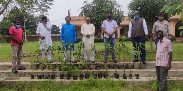 Dumka-ssvm-plantation : सरस्वती शिशु विद्या मंदिर दुमका में हुए पौधरोपरण Dumka-ssvm-plantation : सरस्वती शिशु विद्या मंदिर दुमका में हुए पौधरोपरण