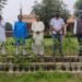 Dumka-ssvm-plantation : सरस्वती शिशु विद्या मंदिर दुमका में हुए पौधरोपरण