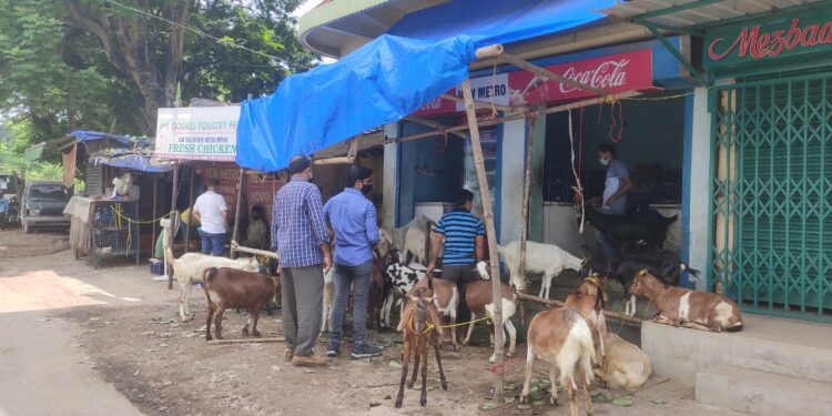 jamshedpur-bakrid-घरों में होगी बकरीद की भी नमाज, बाजार में सन्नाटा, बकरीद पर हो रही बकरे की खरीददारी jamshedpur-bakrid-घरों में होगी बकरीद की भी नमाज, बाजार में सन्नाटा, बकरीद पर हो रही बकरे की खरीददारी
