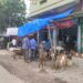 jamshedpur-bakrid-घरों में होगी बकरीद की भी नमाज, बाजार में सन्नाटा, बकरीद पर हो रही बकरे की खरीददारी