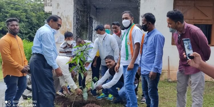 Chaibasa Congress : युवा कांग्रेस ने मनायी पूर्व प्रधानमंत्री की जयंती, पर्यावरण सप्ताह के तहत पौधरोपण कर लिया पर्यावरण संरक्षण का संकल्प