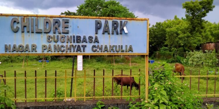 Chakulia-Children-Park-Animal-Pasture : चाकुलिया का चिल्ड्रेन पार्क बना पशुओं का चारागाह, तीसरे पार्क निर्माण का मुद्दा लोगों के लिए बना चर्चा का विषय