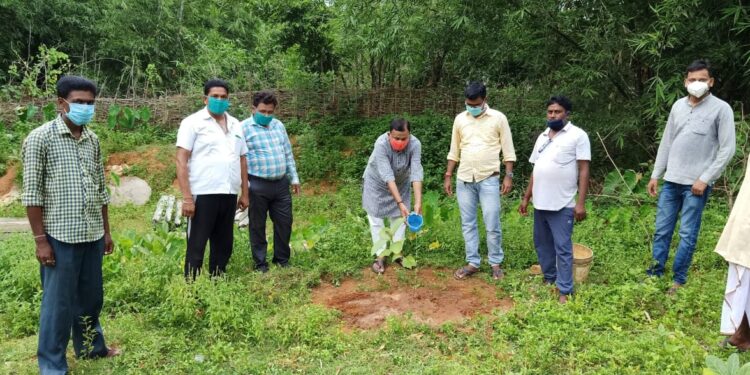 Bahragoda : डॉ गोस्वामी ने बहरागोड़ा में किया पौधरोपण, कहा-सुनहरे कल के लिए करें पौधरोपण Bahragoda : डॉ गोस्वामी ने बहरागोड़ा में किया पौधरोपण, कहा-सुनहरे कल के लिए करें पौधरोपण