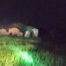 Chakuliya-Elephant : दीघी जंगल से हाथियों को वन कर्मियों ने भगाया Chakuliya-Elephant : दीघी जंगल से हाथियों को वन कर्मियों ने भगाया