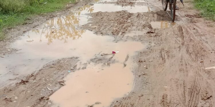 arbitrary-of-contracting-company : पीसीसी सड़क को तोड़ बना डाला गड्ढा, कीचड़ से सनी सड़क, ठेका कंपनी ने सात महीने पहले तोड़ा पीसीसी, अब काम का ठिकाना नहीं arbitrary-of-contracting-company : पीसीसी सड़क को तोड़ बना डाला गड्ढा, कीचड़ से सनी सड़क, ठेका कंपनी ने सात महीने पहले तोड़ा पीसीसी, अब काम का ठिकाना नहीं