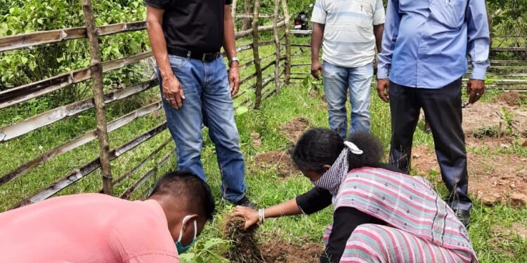 musabani: उप विकास आयुक्त ने मुसाबनी में मनरेगा क्रियान्वित योजनाओं का किया निरीक्षण, ससमय योजनाओं को पूर्ण करने का दिया निर्देश musabani: उप विकास आयुक्त ने मुसाबनी में मनरेगा क्रियान्वित योजनाओं का किया निरीक्षण, ससमय योजनाओं को पूर्ण करने का दिया निर्देश