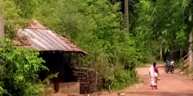 chakuliya:पदाधिकारी और जन प्रतिनिधियों द्वारा की गई घोषणा के दो माह बीतने के बाद भी कोसाफलिया गांव में नहीं हुआ एक भी काम: दिनेश हांसदा chakuliya:पदाधिकारी और जन प्रतिनिधियों द्वारा की गई घोषणा के दो माह बीतने के बाद भी कोसाफलिया गांव में नहीं हुआ एक भी काम: दिनेश हांसदा