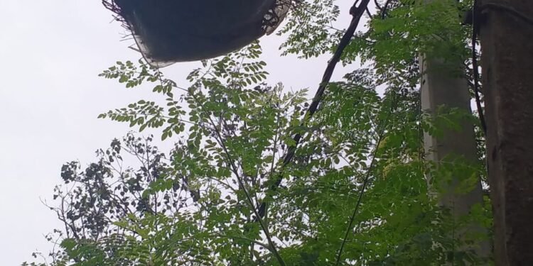 chakuliya: नपं में शामिल होने के बावजूद कांकड़ीशोल गांव में नहीं है स्ट्रीट लाइट ,पूर्व में लगे भेपर वर्षो से है खराब, अब चिड़ियों का है बसेरा chakuliya: नपं में शामिल होने के बावजूद कांकड़ीशोल गांव में नहीं है स्ट्रीट लाइट ,पूर्व में लगे भेपर वर्षो से है खराब, अब चिड़ियों का है बसेरा