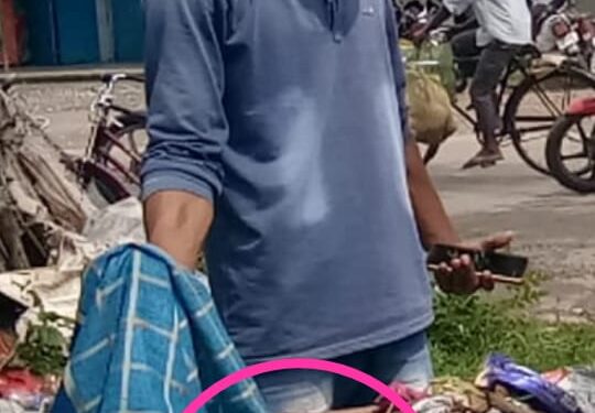 jamshedpur: सर्किट हाउस के पास रोड नंबर 14 के किनारे रखे डस्टबिन में मिला नवजात शिशु, तरह तरह की चर्चाओं का बाजार गरम jamshedpur: सर्किट हाउस के पास रोड नंबर 14 के किनारे रखे डस्टबिन में मिला नवजात शिशु, तरह तरह की चर्चाओं का बाजार गरम