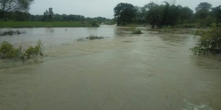 jamshedpur-rural-बहरागोड़ा के गांवों में घूसा बारिश का पानी, खेत डूबे, किसानों को भारी नुकसान jamshedpur-rural-बहरागोड़ा के गांवों में घूसा बारिश का पानी, खेत डूबे, किसानों को भारी नुकसान